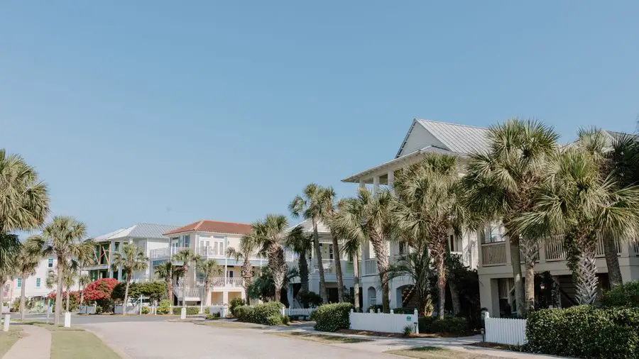 Residential street lined with palm trees and homes