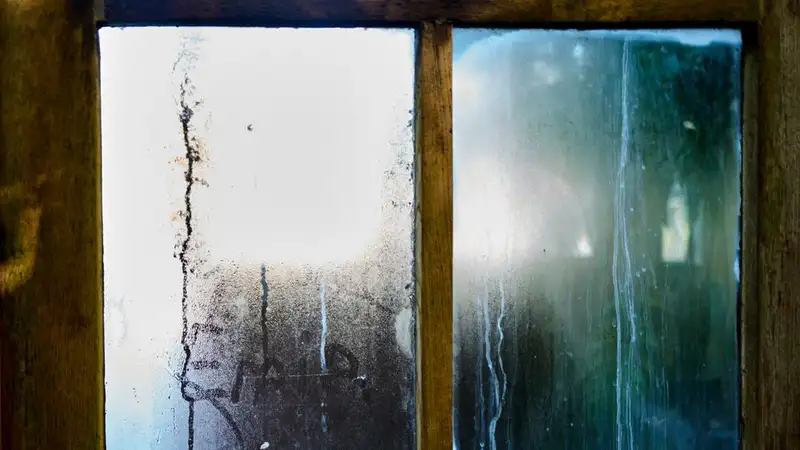 Close-up of a moist wooden window pane with condensation creating artistic streaks in Leiden, Netherlands