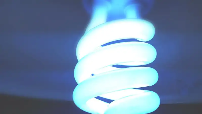 A close-up shot of an illuminated spiral CFL bulb emitting a blue glow, symbolizing energy efficiency